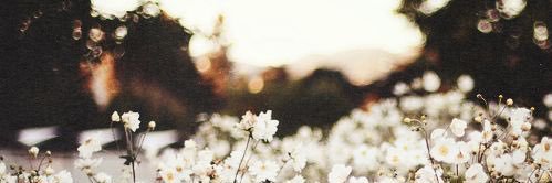 kaileyerin13's profile banner image