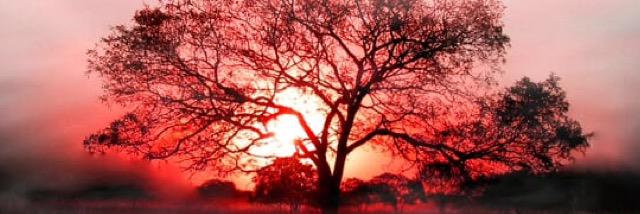 Traskfunerals's profile banner image