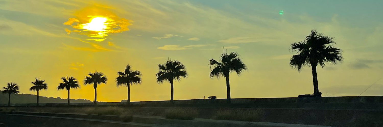 runa121905's profile banner image