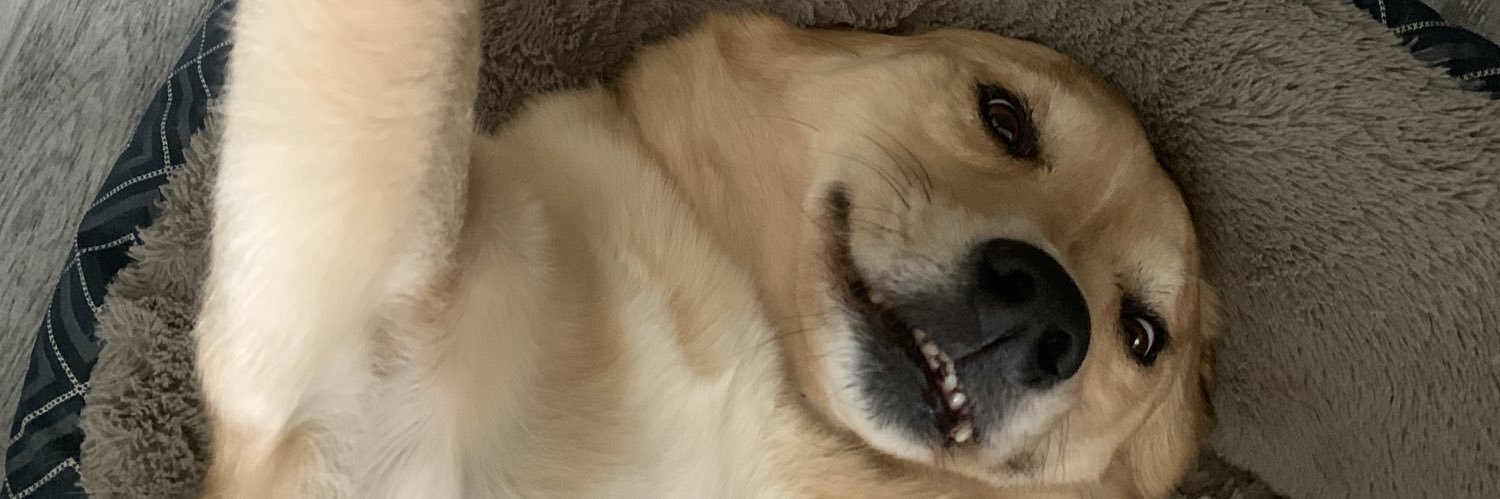 moisesjgomez's profile banner image