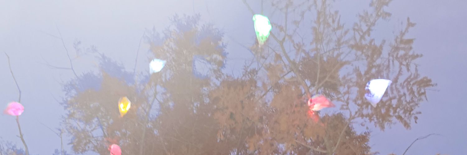 ShakaY53's profile banner image