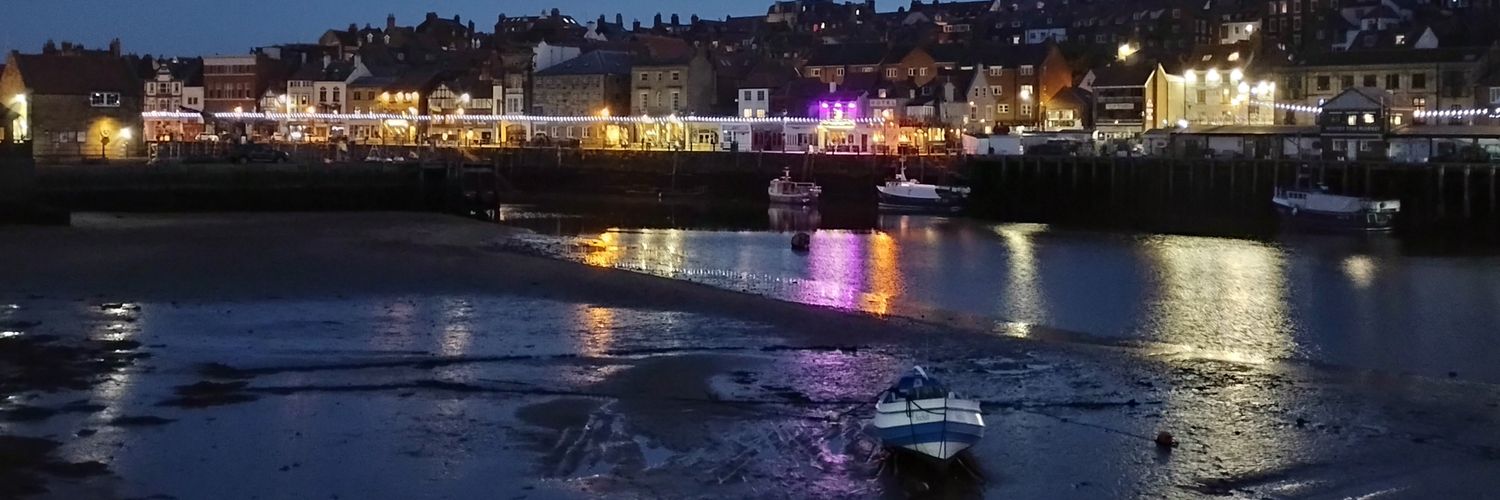 fiona williams banner