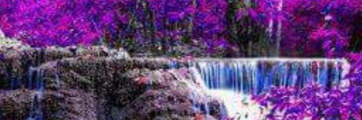 erkan16bda58's profile banner image