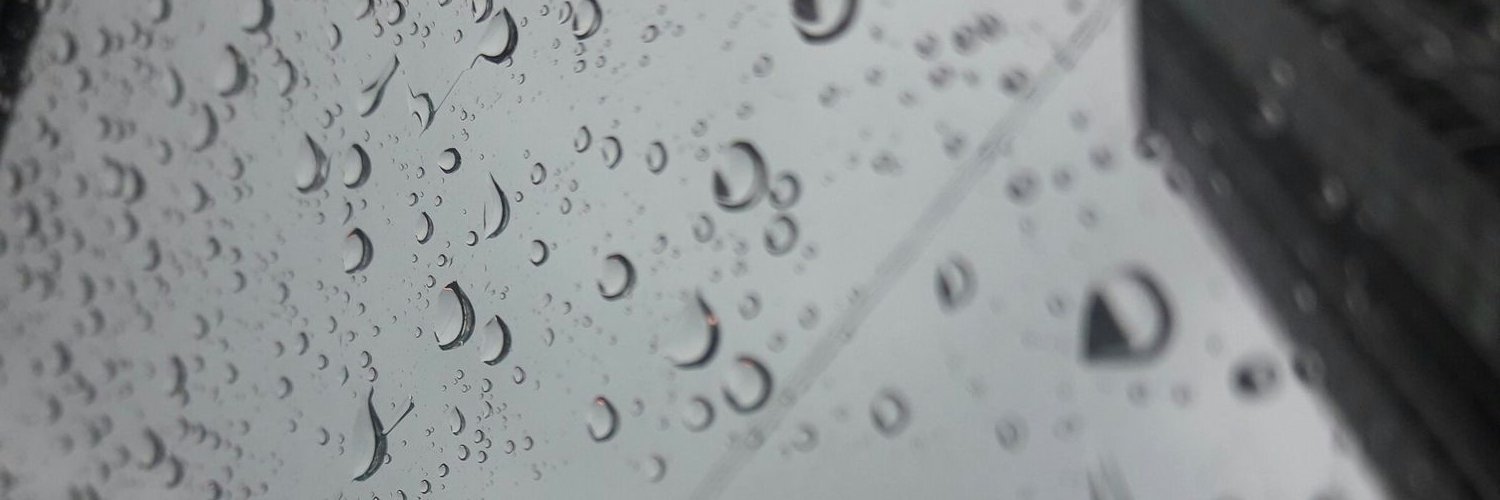 PubestL's profile banner image