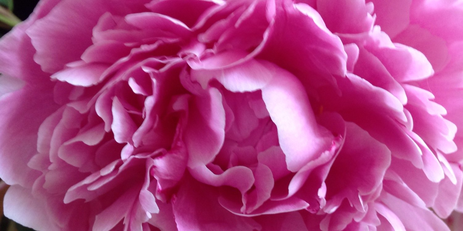 astridaffourtit's profile banner image