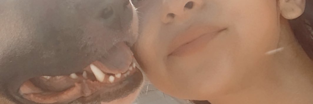 joce banner