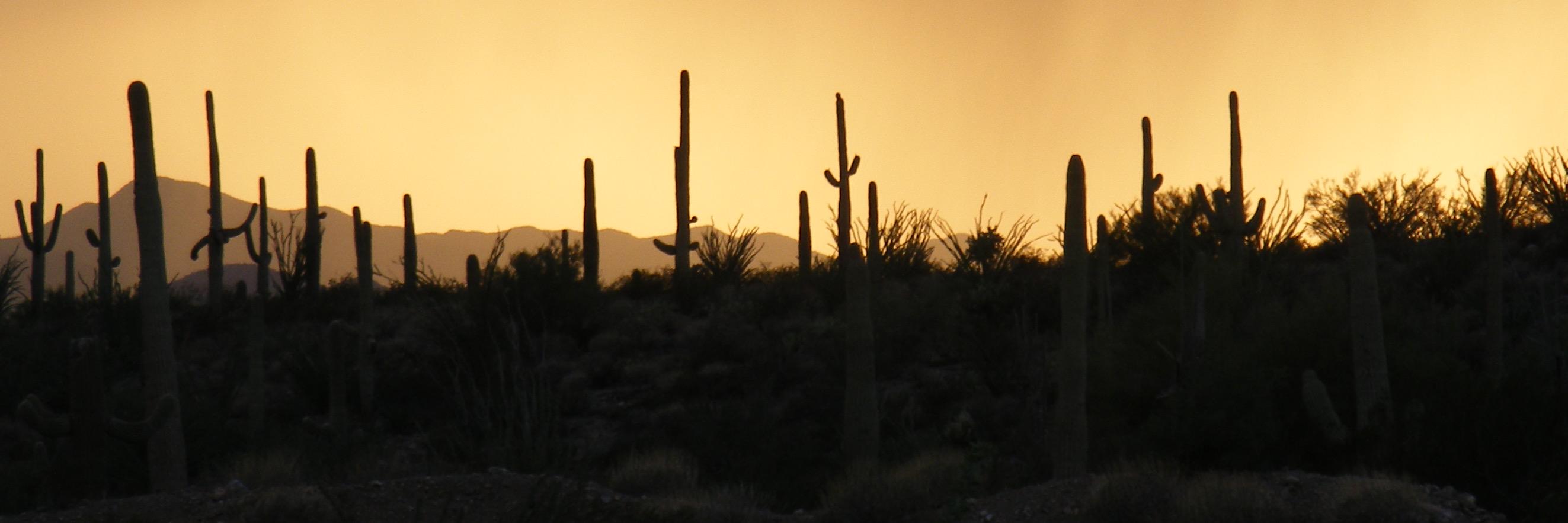 IntuitionWell's profile banner image