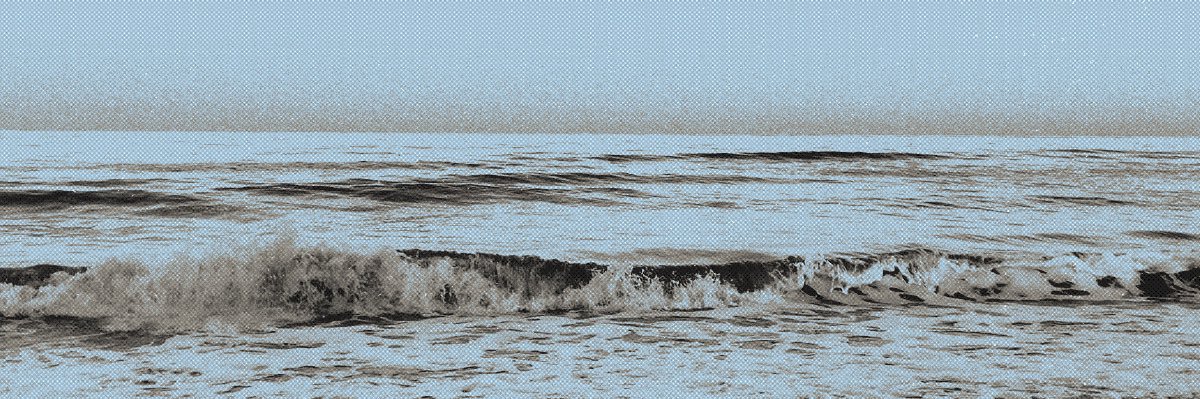 kildarerots's profile banner image