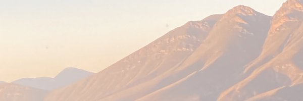 Ricardo Profile Banner