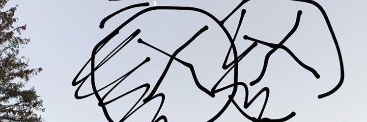 goldfishmemry's profile banner image
