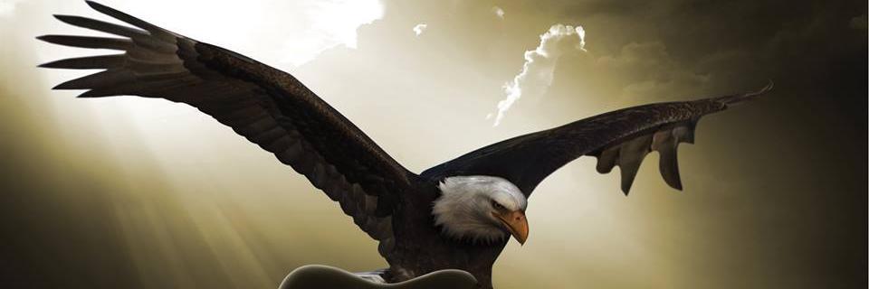 MoneyFindersLLC's profile banner image
