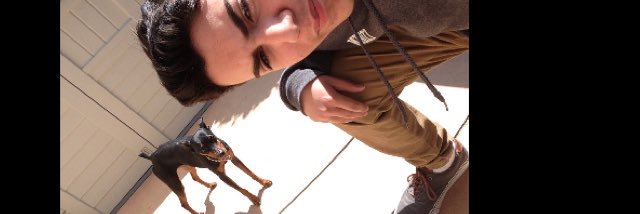 Lucas_Cohen2's profile banner image
