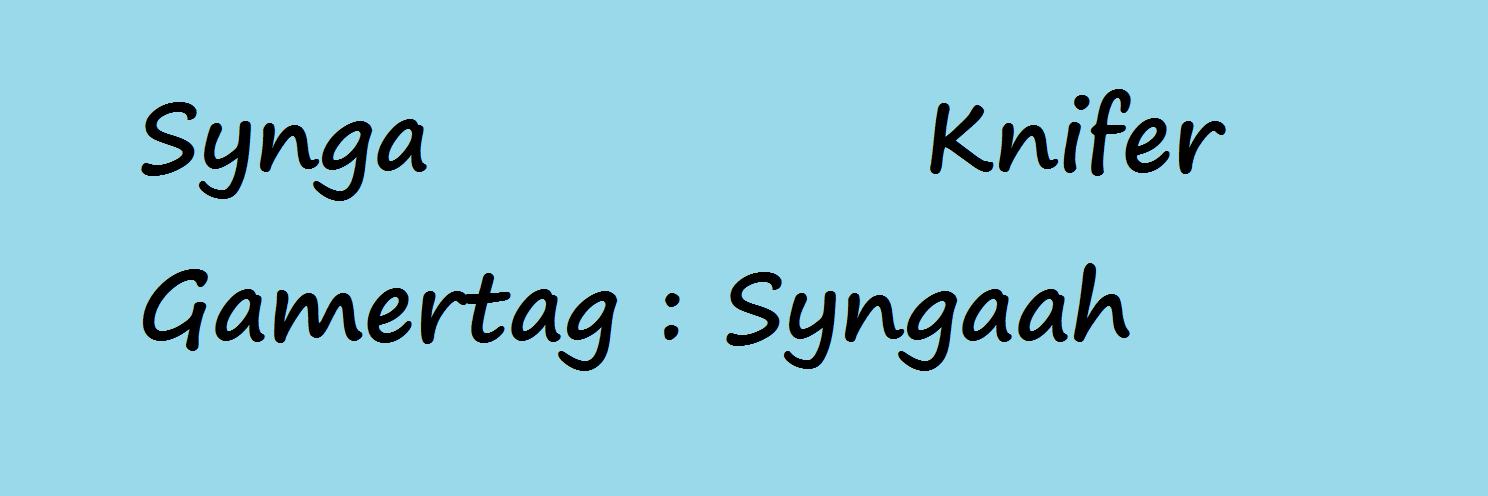 Synga banner