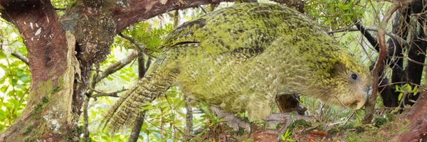 takapodigs Profile Banner