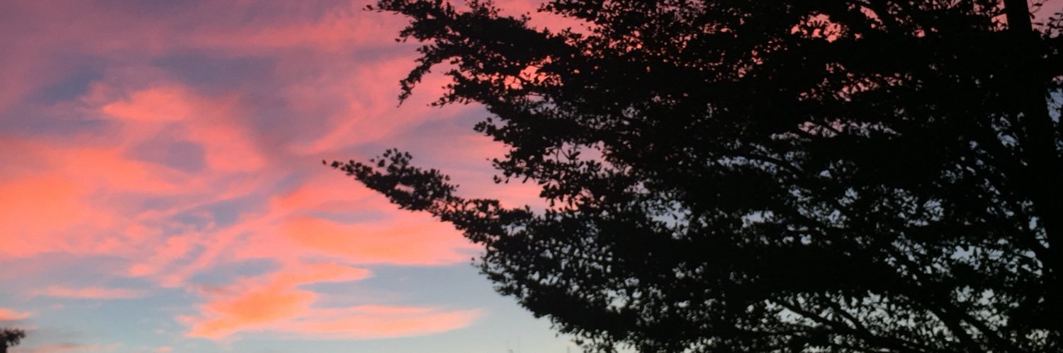 reignangls's profile banner image