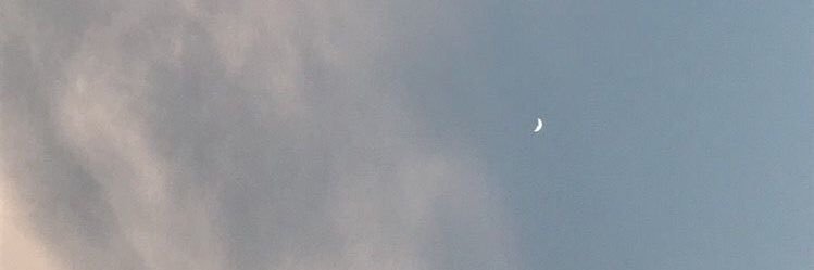 peach___0711's profile banner image