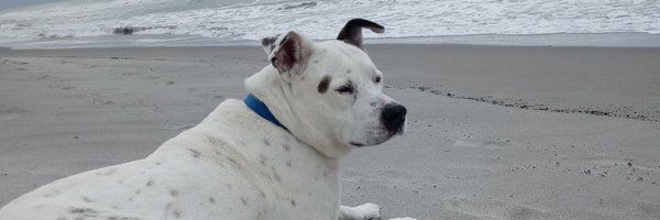 mitchyson111 Profile Banner