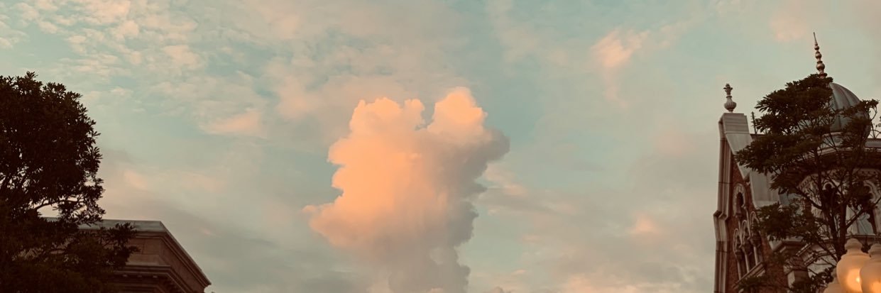 clala_n's profile banner image