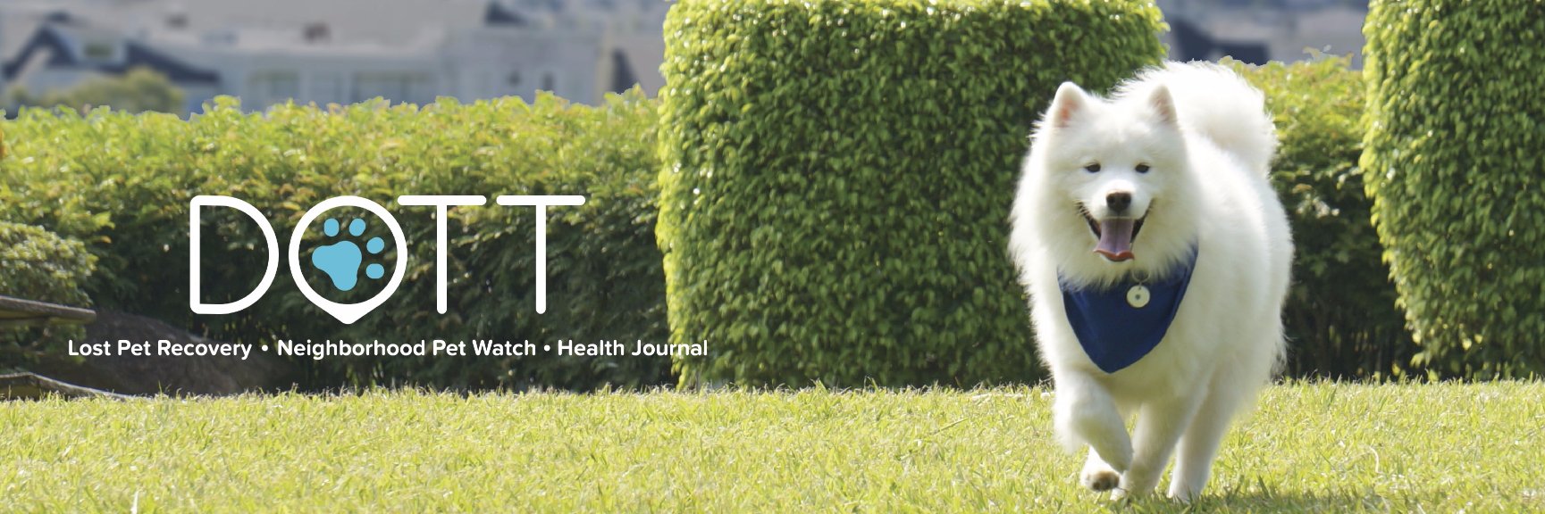 DOTTpet's profile banner image
