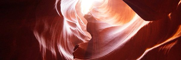 elena_chen17 Profile Banner