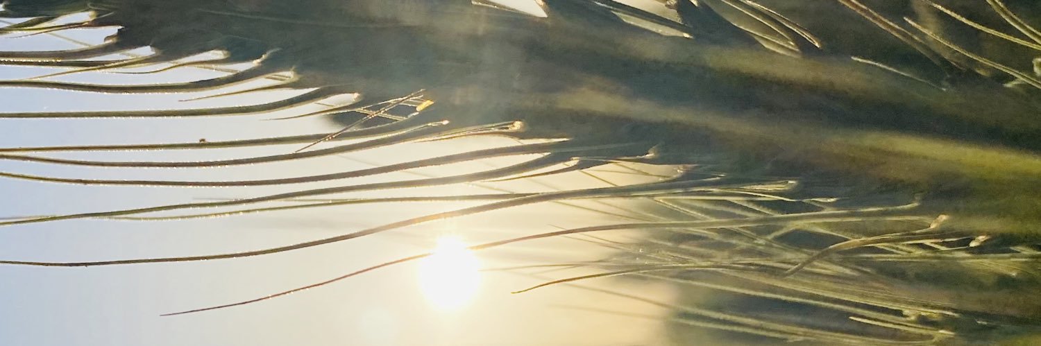 vm4600's profile banner image