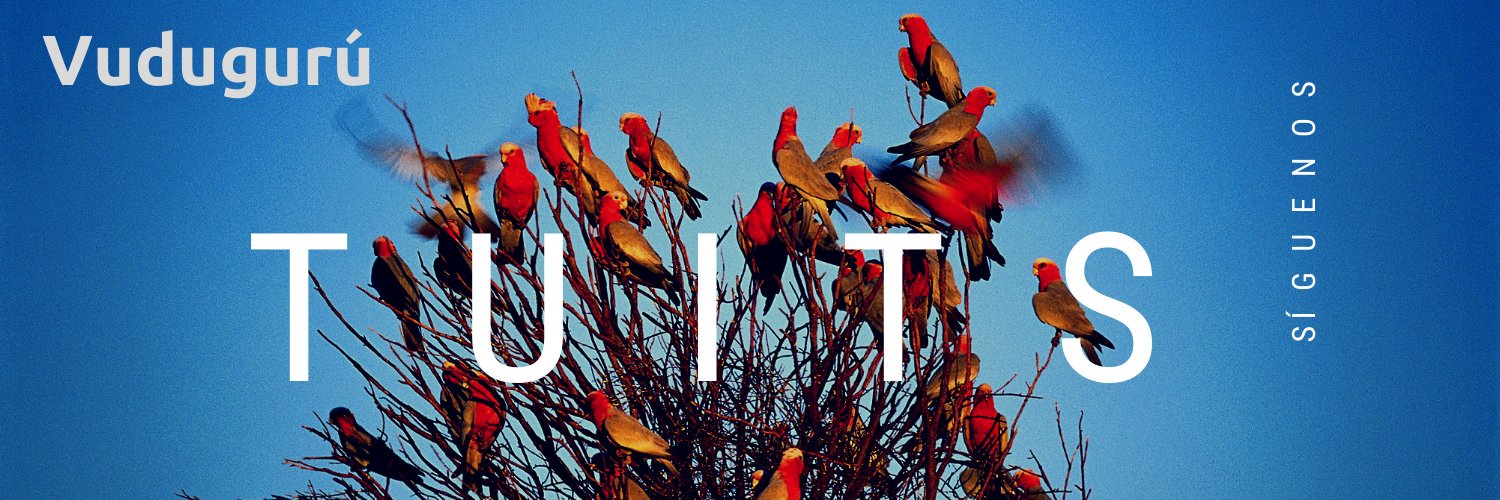 VuduguruMx's profile banner image