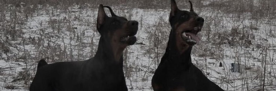 skeddd_'s profile banner image