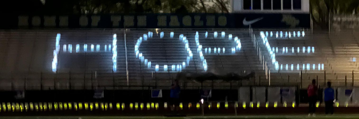 Gayle the Zebra Warrior banner