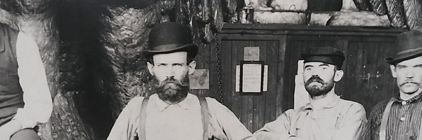 stevennelson899's profile banner image