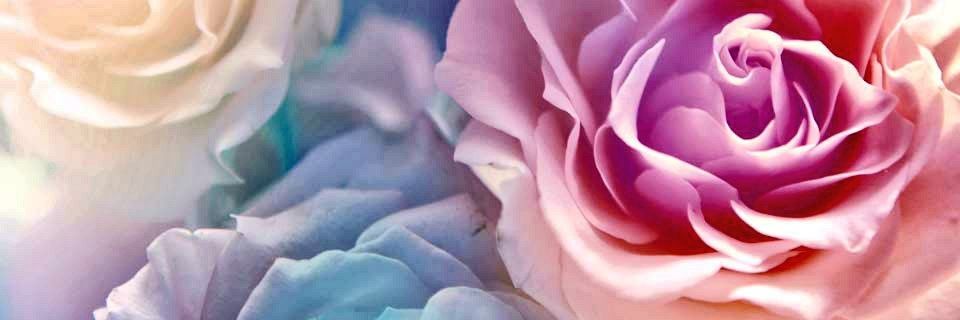 MZumelle's profile banner image
