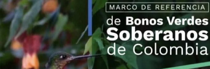 cesararias's profile banner image
