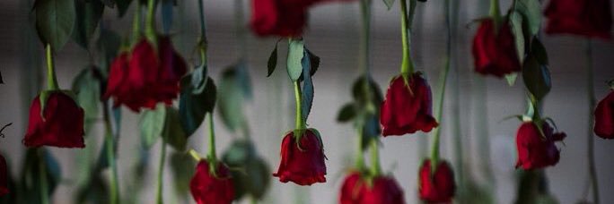 DFN_PH's profile banner image