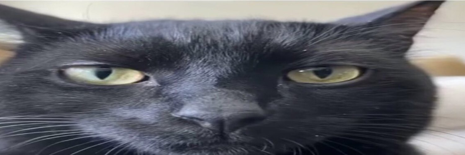 fukkup banner