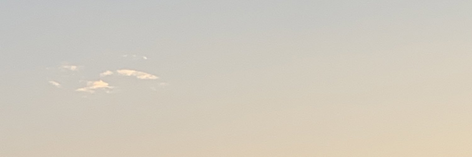 みかん🍊 banner