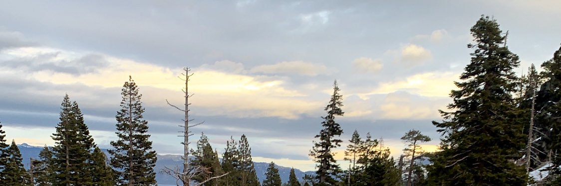LaiCSaechao's profile banner image