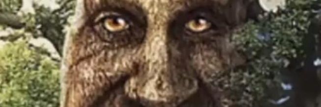 marcinekk4's profile banner image