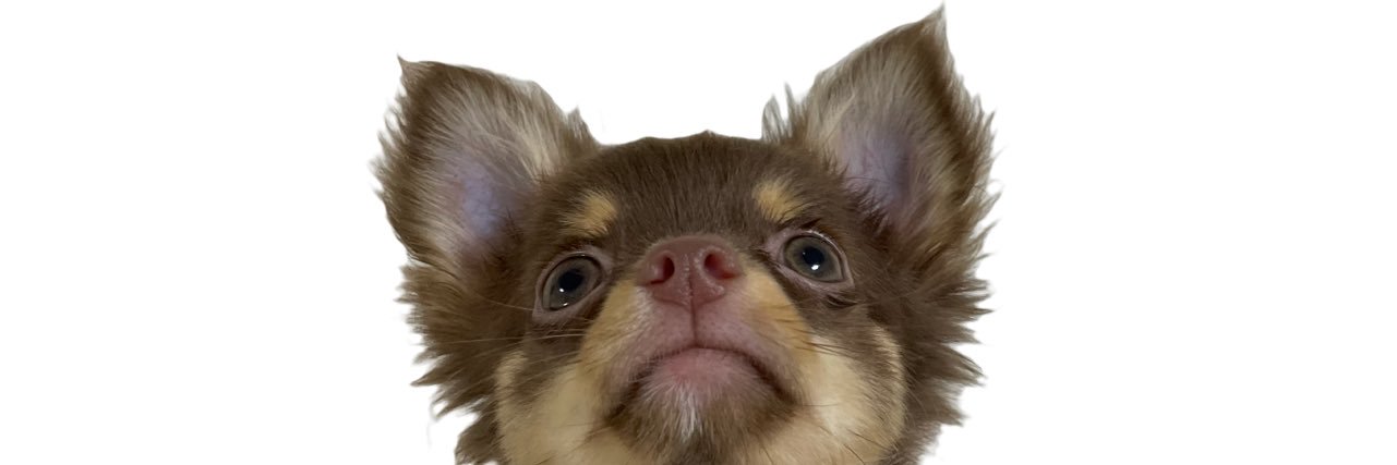 rihodooon's profile banner image