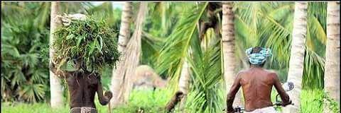 sabarisv15's profile banner image