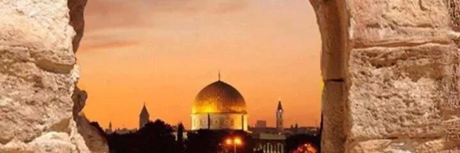 ii1397's profile banner image