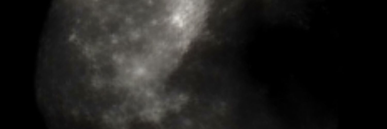 카나리아 banner