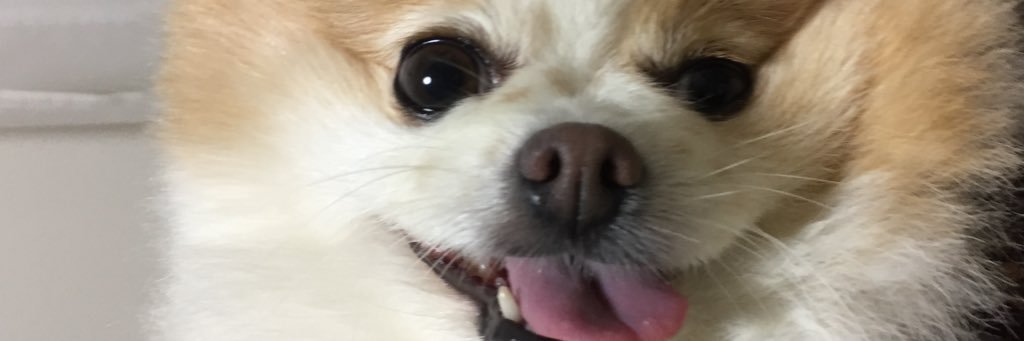 o2kyk's profile banner image