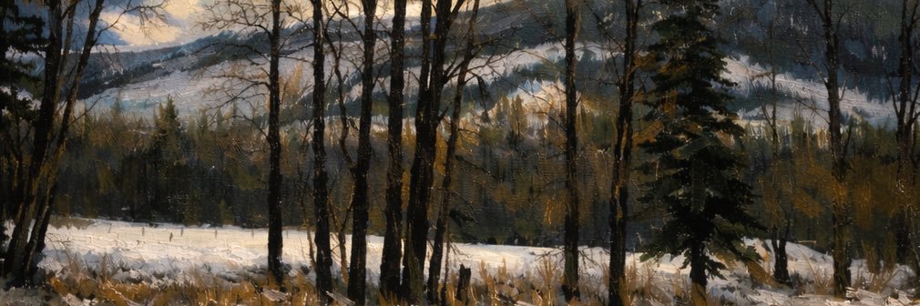 bchoundsman's profile banner image