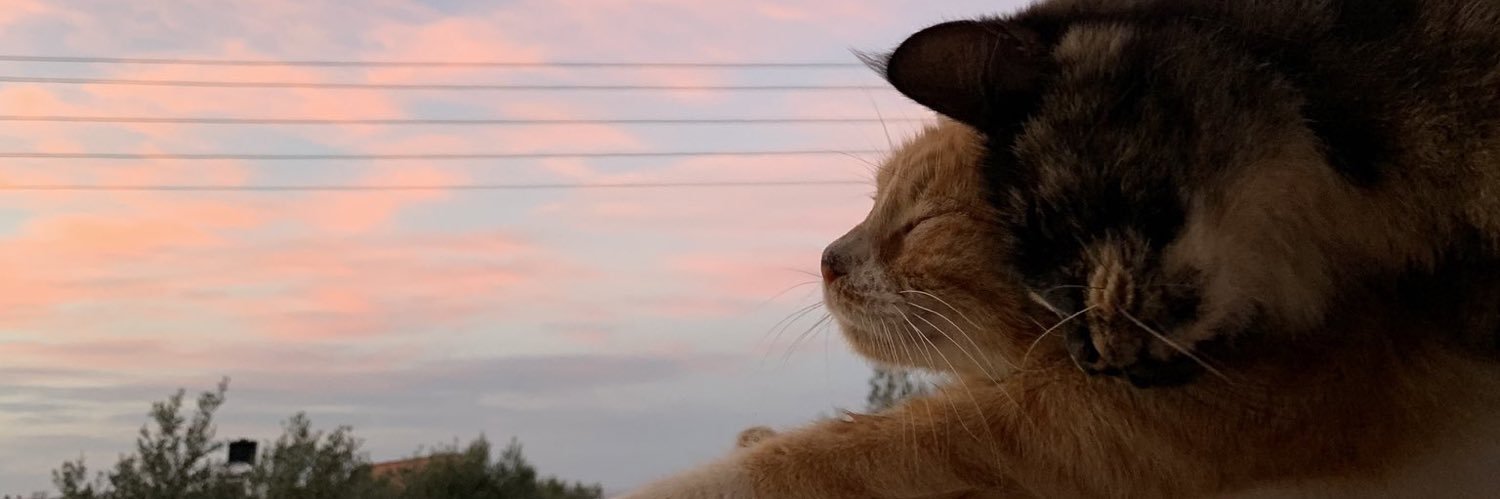 glitteryirl's profile banner image