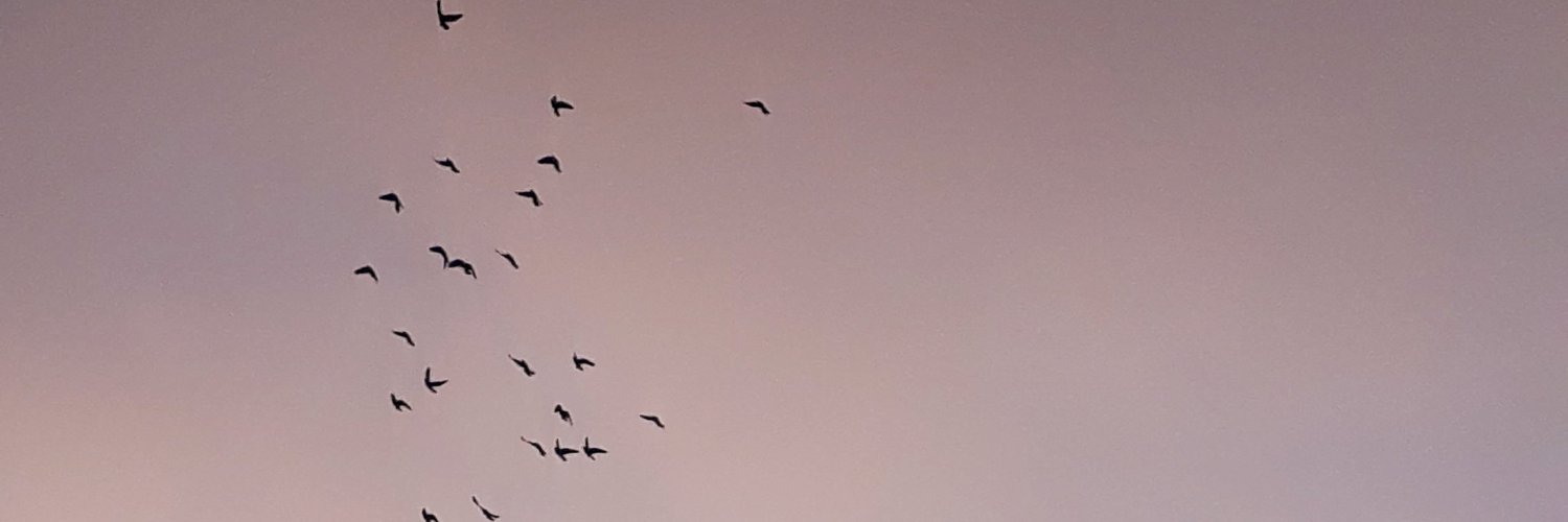 Z𝐴𝐼𝑁𝐴𝐵 🧸🥤 banner