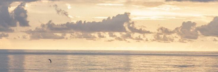 Geeranan2544's profile banner image