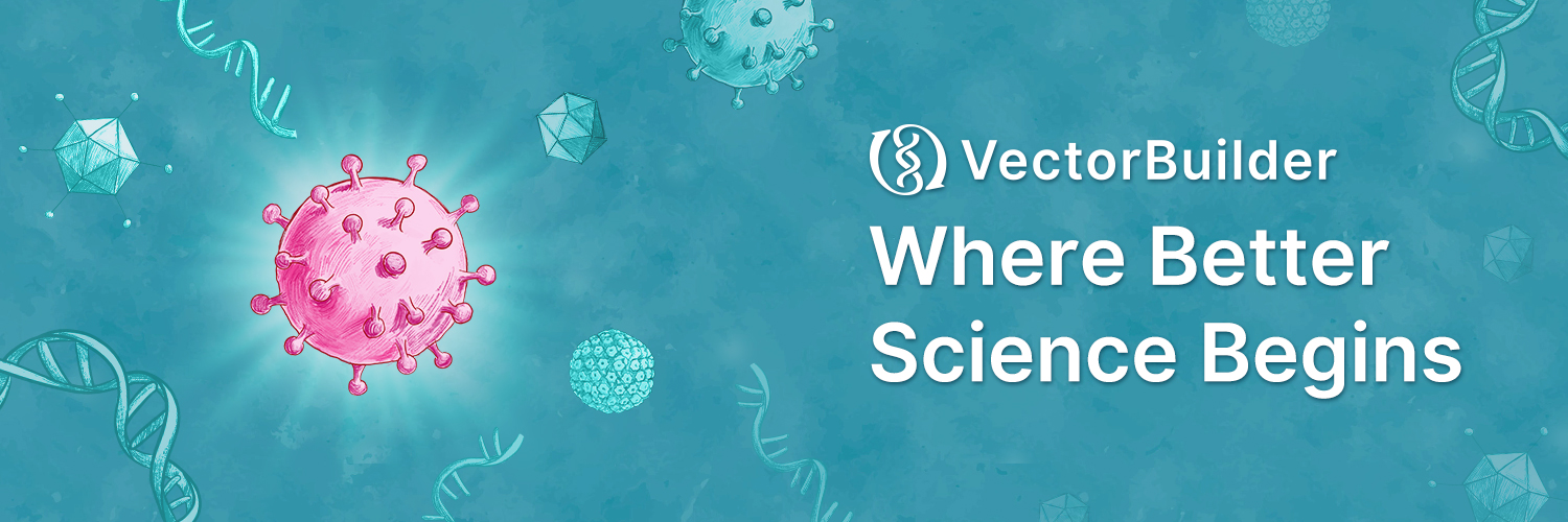 VectorBuilder's profile banner image