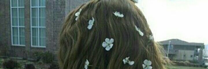 peechhie's profile banner image