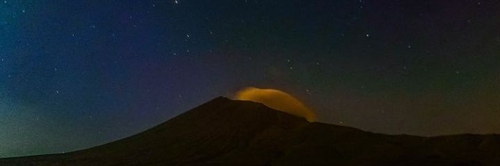 benenesla's profile banner image