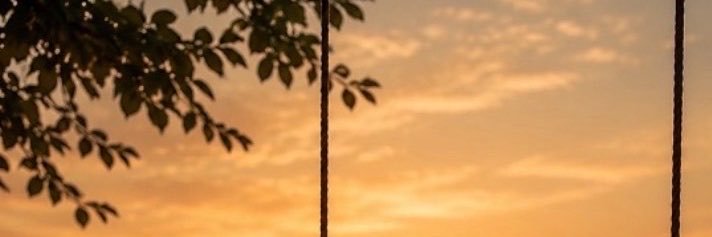 sh_q956's profile banner image