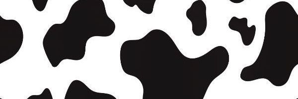 _mandocaa's profile banner image